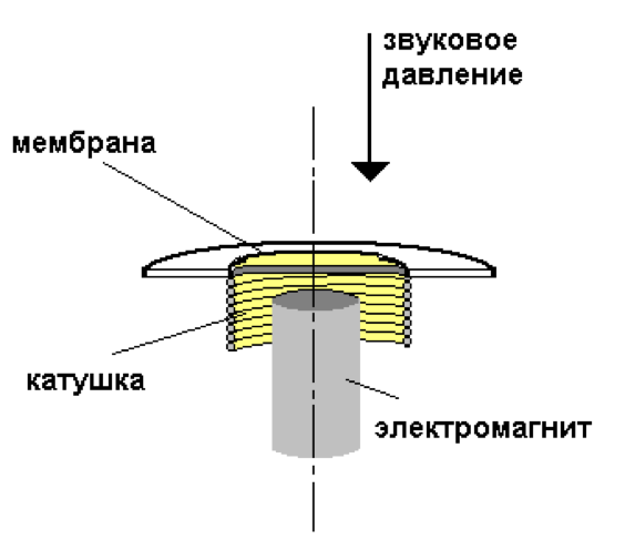 Схема электродинамического катушечного микрофона